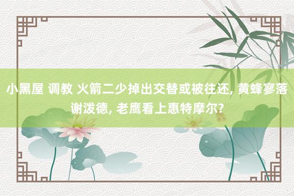 小黑屋 调教 火箭二少掉出交替或被往还， 黄蜂寥落谢泼德， 老鹰看上惠特摩尔?