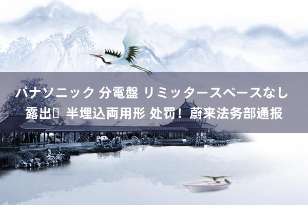 パナソニック 分電盤 リミッタースペースなし 露出・半埋込両用形 处罚！蔚来法务部通报