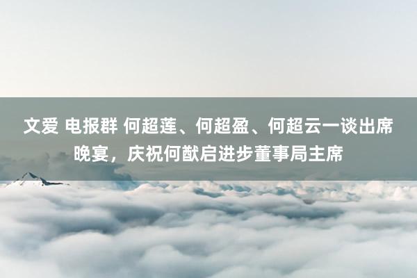 文爱 电报群 何超莲、何超盈、何超云一谈出席晚宴，庆祝何猷启进步董事局主席