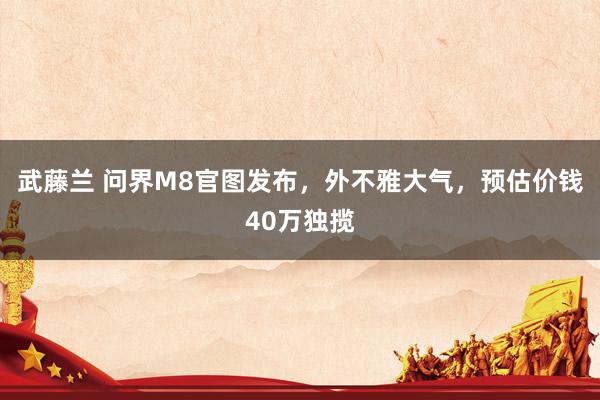武藤兰 问界M8官图发布，外不雅大气，预估价钱40万独揽