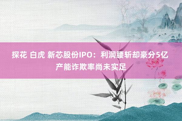 探花 白虎 新芯股份IPO：利润腰斩却豪分5亿 产能诈欺率尚未实足