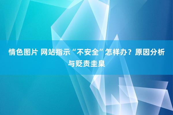 情色图片 网站指示“不安全”怎样办？原因分析与贬责圭臬