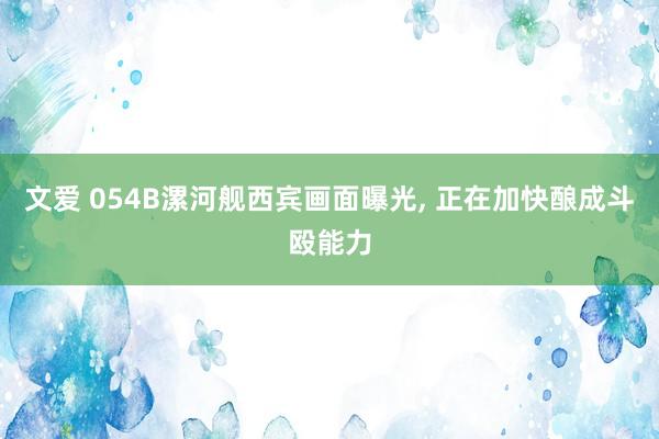 文爱 054B漯河舰西宾画面曝光， 正在加快酿成斗殴能力