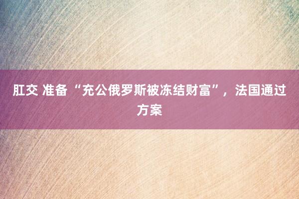 肛交 准备 “充公俄罗斯被冻结财富”，法国通过方案
