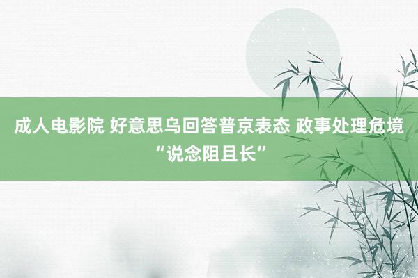 成人电影院 好意思乌回答普京表态 政事处理危境“说念阻且长”