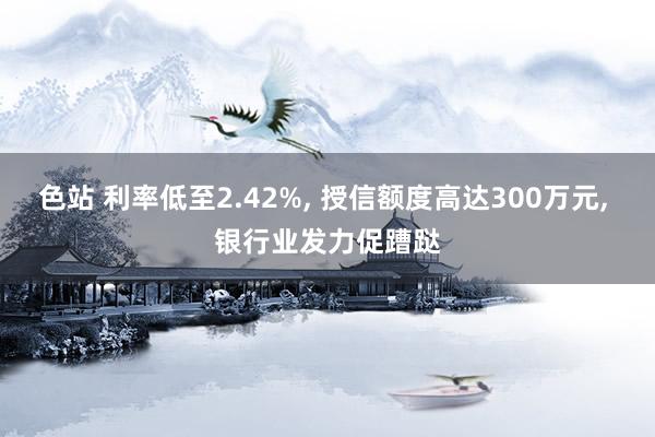 色站 利率低至2.42%， 授信额度高达300万元， 银行业发力促蹧跶