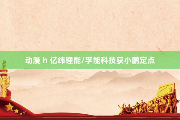 动漫 h 亿纬锂能/孚能科技获小鹏定点
