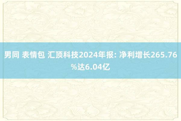 男同 表情包 汇顶科技2024年报: 净利增长265.76%达6.04亿