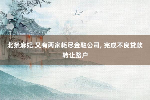 北条麻妃 又有两家耗尽金融公司， 完成不良贷款转让路户