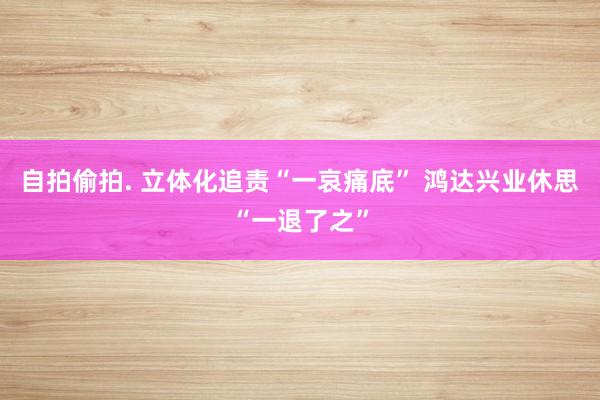 自拍偷拍. 立体化追责“一哀痛底” 鸿达兴业休思“一退了之”