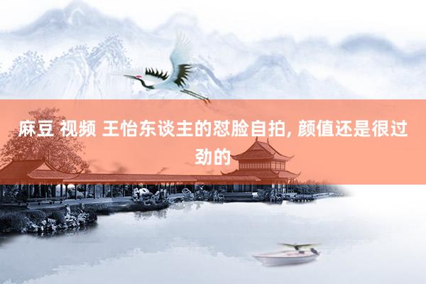 麻豆 视频 王怡东谈主的怼脸自拍， 颜值还是很过劲的