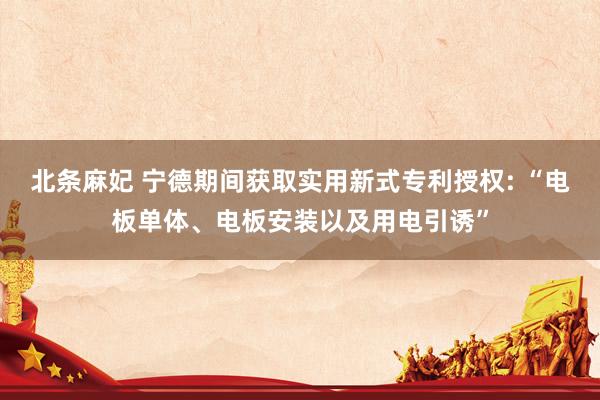 北条麻妃 宁德期间获取实用新式专利授权: “电板单体、电板安装以及用电引诱”
