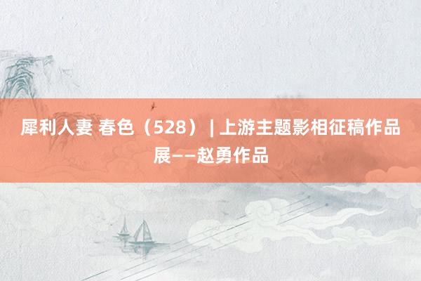 犀利人妻 春色（528） | 上游主题影相征稿作品展——赵勇作品