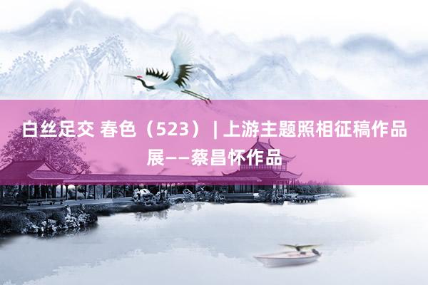 白丝足交 春色（523） | 上游主题照相征稿作品展——蔡昌怀作品