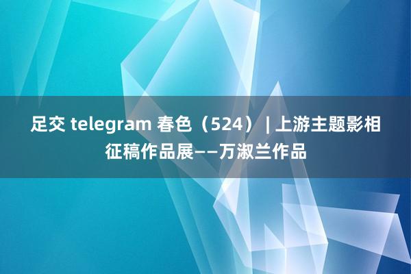 足交 telegram 春色（524） | 上游主题影相征稿作品展——万淑兰作品
