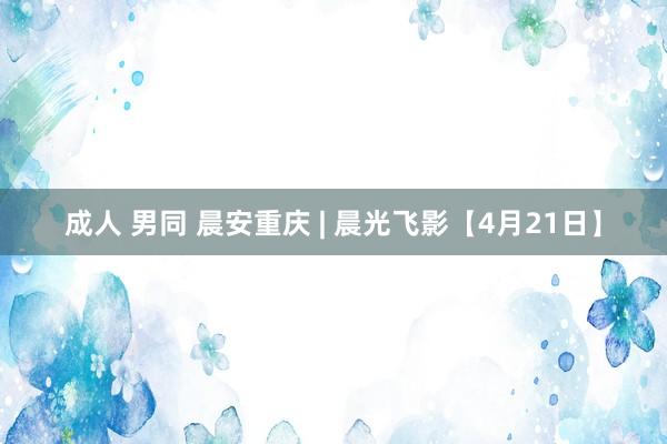 成人 男同 晨安重庆 | 晨光飞影【4月21日】