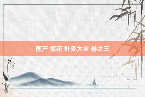 国产 探花 針灸大全 卷之三