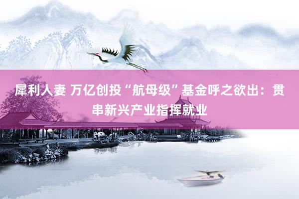犀利人妻 万亿创投“航母级”基金呼之欲出：贯串新兴产业指挥就业