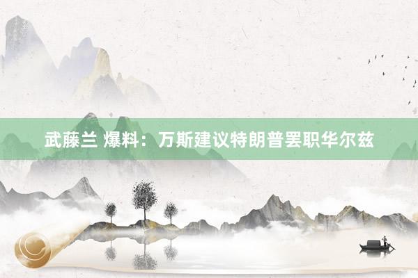 武藤兰 爆料：万斯建议特朗普罢职华尔兹
