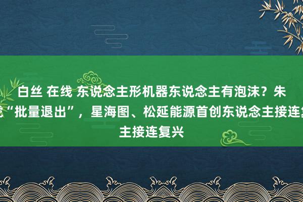 白丝 在线 东说念主形机器东说念主有泡沫？朱啸虎“批量退出”，星海图、松延能源首创东说念主接连复兴